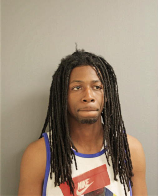 LADON A HAYGOOD, Cook County, Illinois