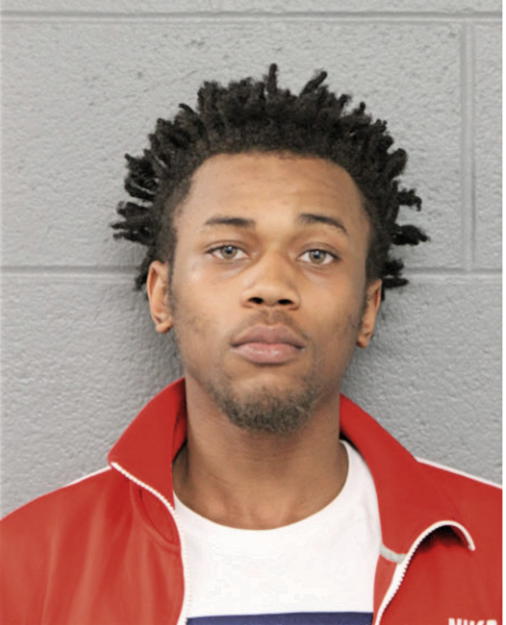 RONALD JR JOHNSON, Cook County, Illinois