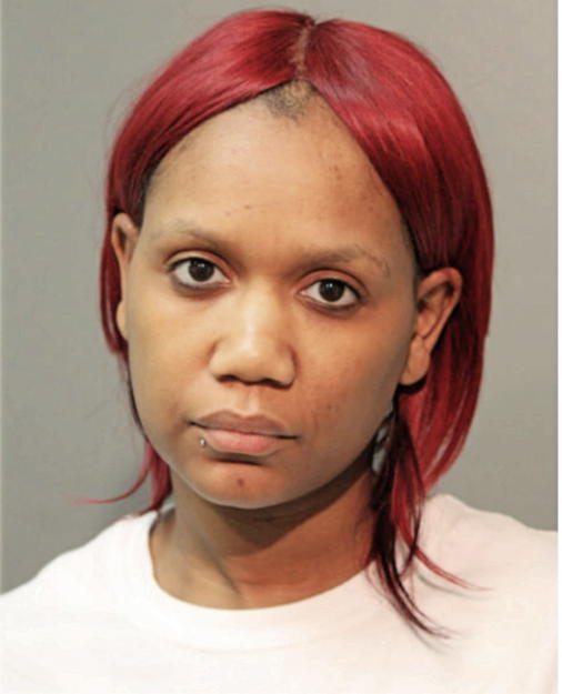 SHENITA M JOHNSON, Cook County, Illinois