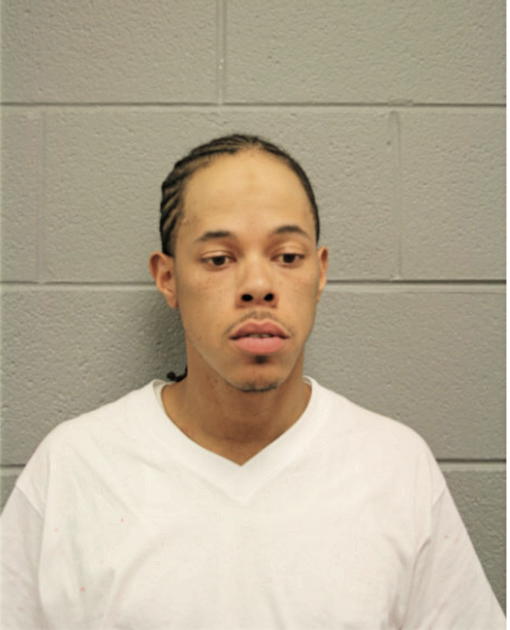 TAUREAN A JOHNSON, Cook County, Illinois
