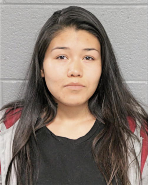 MARITZA MENDEZ, Cook County, Illinois