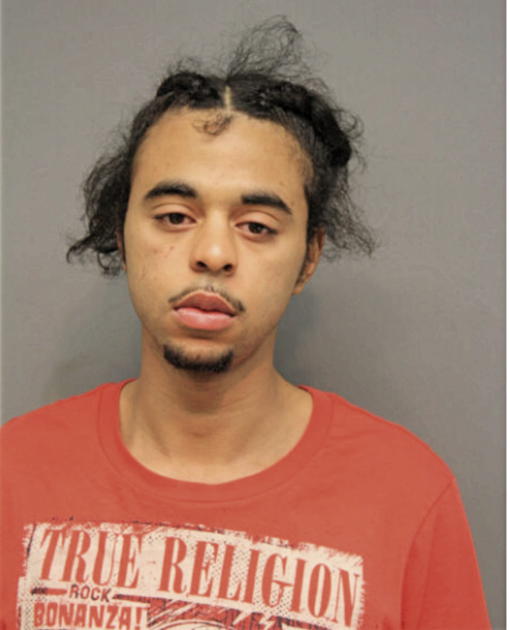 LAKSHMAN S MENON-NEAL, Cook County, Illinois