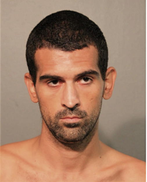 DAVID M MERCADO, Cook County, Illinois