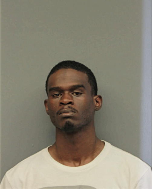 CLEOPHUS P NELSON, Cook County, Illinois
