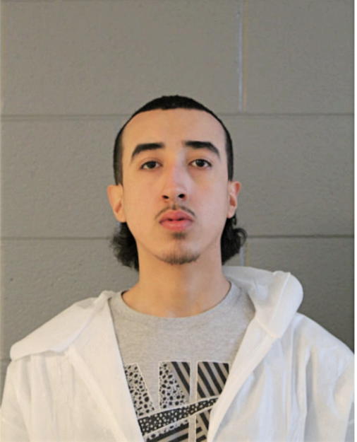 REYES PADILLA, Cook County, Illinois