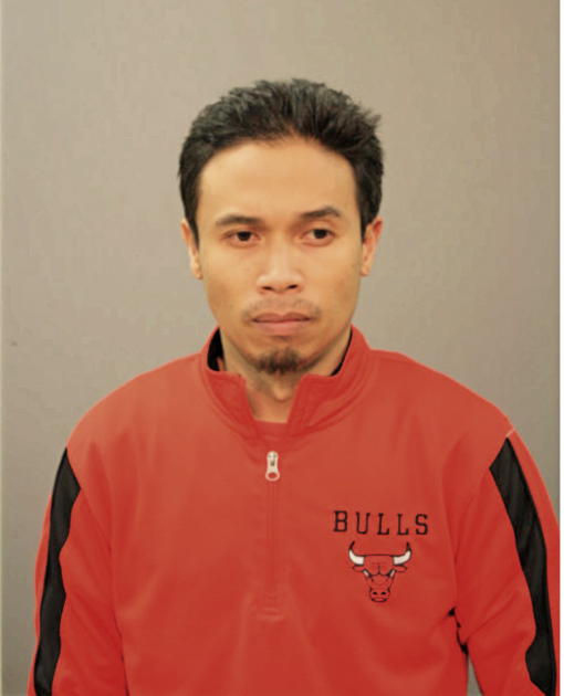 FRANCIS G PUNIEL, Cook County, Illinois