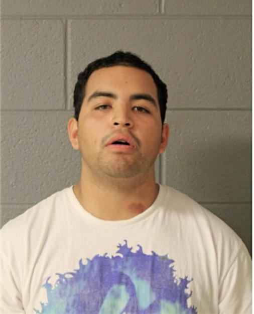 JOHNATHAN M REZA, Cook County, Illinois