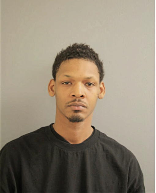 SIMON T STEEL, Cook County, Illinois