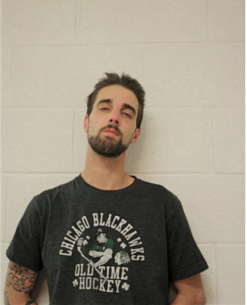 CHRISTOPHER L VAN HORN, Cook County, Illinois