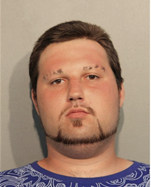ANTHONY VERTHEIN, Cook County, Illinois