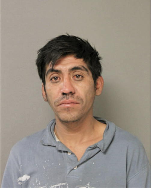 ADOLFO AGREDA, Cook County, Illinois