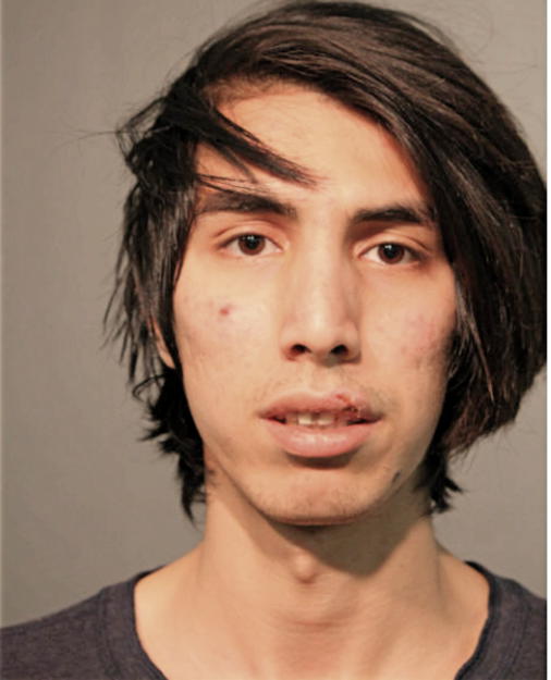 MORTEZA AKBARI, Cook County, Illinois