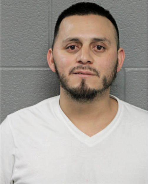 JUAN C ARREOLAGONZALEZ, Cook County, Illinois