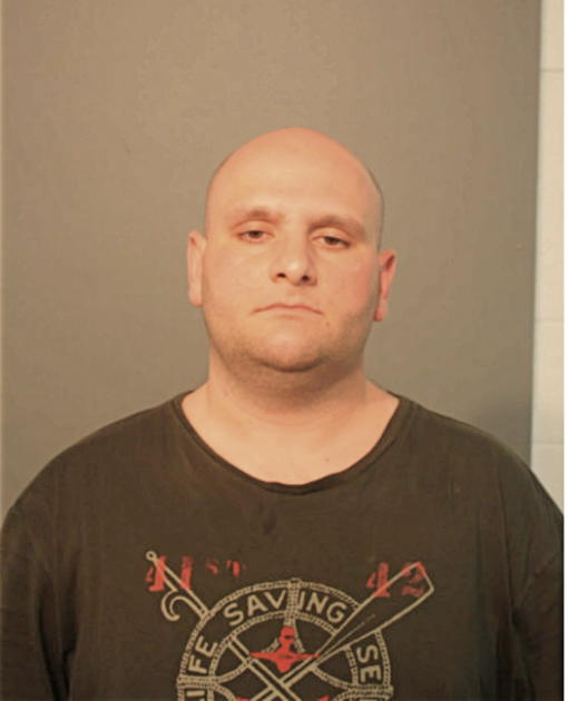 BRANKO BOGDANOV, Cook County, Illinois