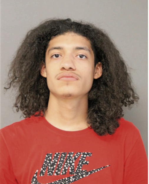 SAUL A CARDENAS, Cook County, Illinois