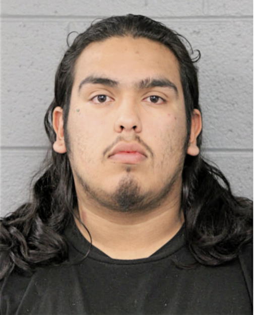 DAVID V CERVANTES, Cook County, Illinois