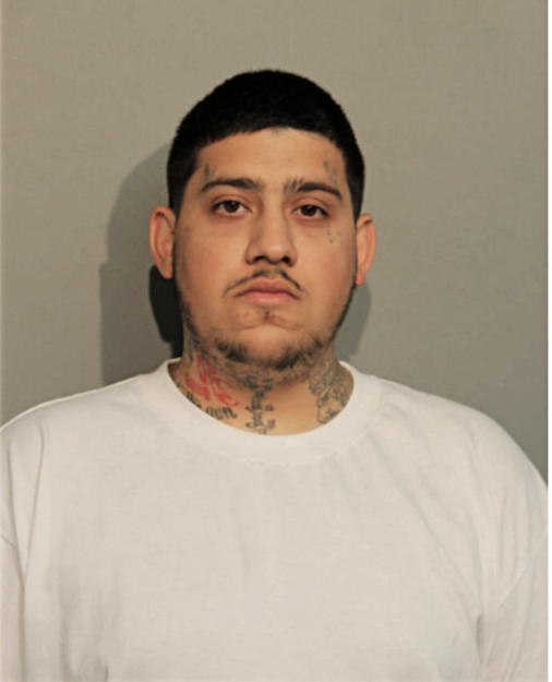 SHAWN A GHAZIANI, Cook County, Illinois