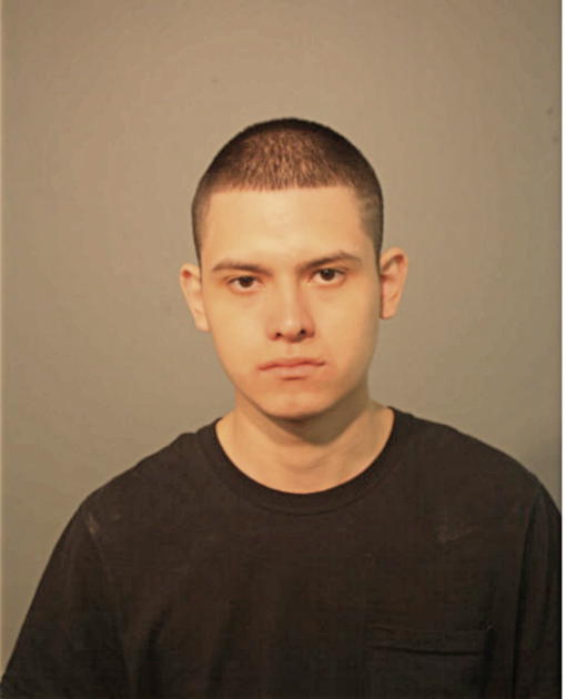 JOSEPH H GUARDIA, Cook County, Illinois