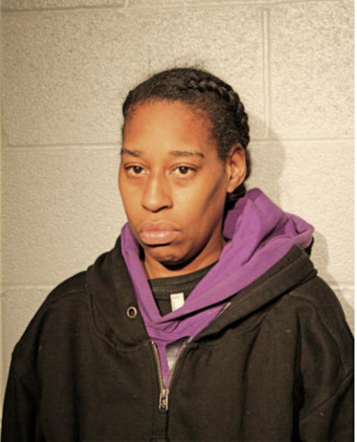 SHANICE C HUNTER OGUNOSUN, Cook County, Illinois