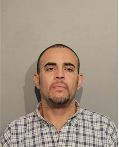 DAVID J KING, Cook County, Illinois