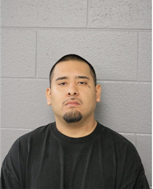 RAUL J LAGUNAS, Cook County, Illinois