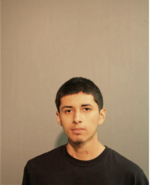 LUIS E MARQUINA, Cook County, Illinois