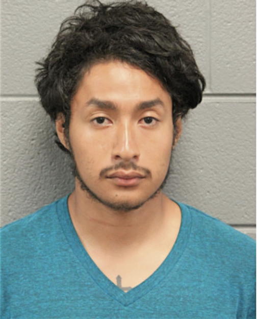 JAVIER J MEZA, Cook County, Illinois