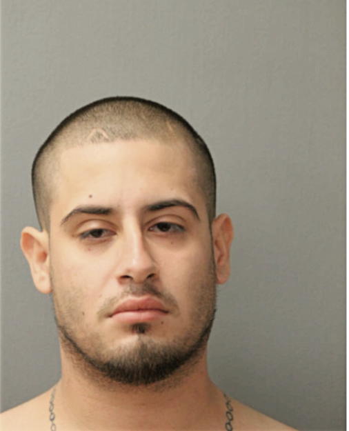 DAVID RIVERA, Cook County, Illinois