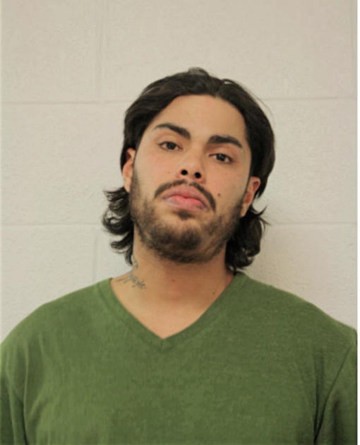 MIGUEL A SEPULVEDA, Cook County, Illinois