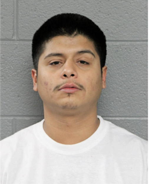 MIGUEL I TORRES, Cook County, Illinois