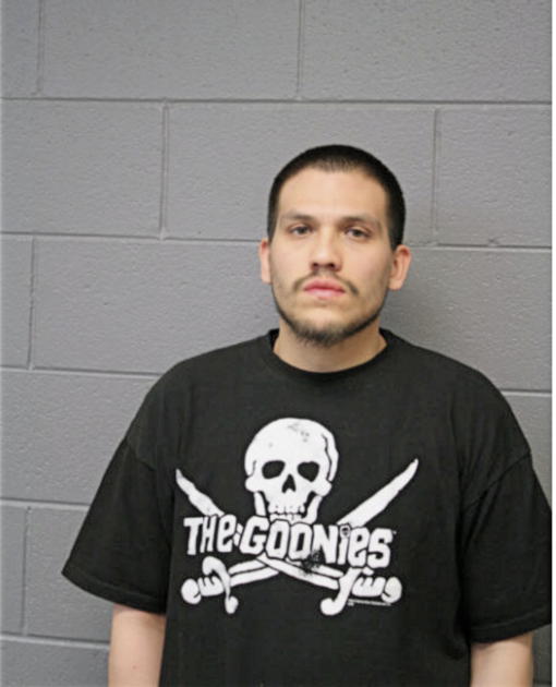 ROBERT RAPHAEL TORRES, Cook County, Illinois