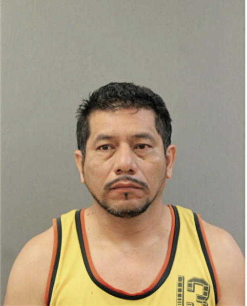 MARIO VINALAY, Cook County, Illinois
