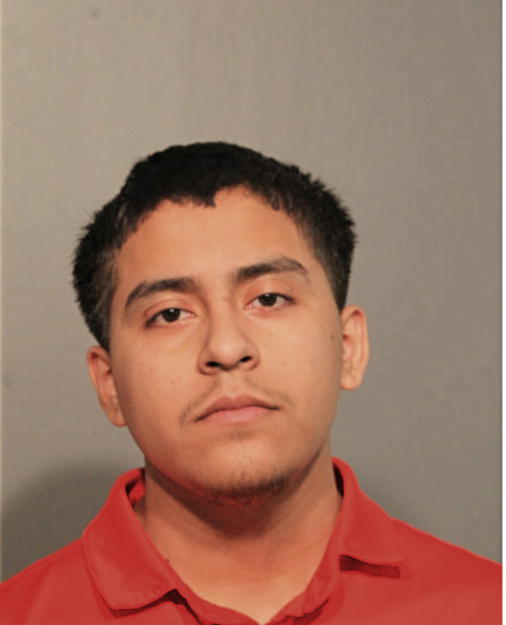 ELMER EDUARDO VIVERO, Cook County, Illinois