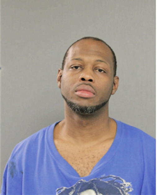 ROBERT L WILSON, Cook County, Illinois