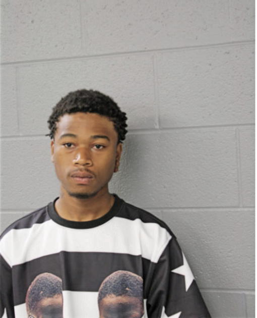 CRAIG L ALSTON, Cook County, Illinois