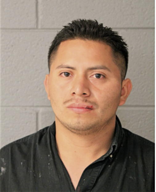 CARLOS ALFREDO ASIG, Cook County, Illinois