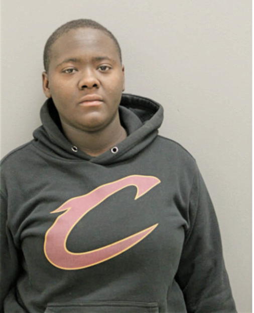 GABRIELLE A BROWN, Cook County, Illinois