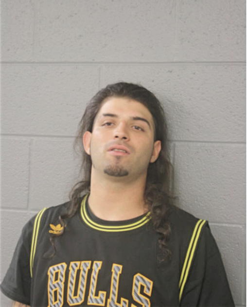DAVID CALZADO, Cook County, Illinois