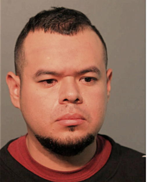 GUSTAVO CORREA-BOLANOS, Cook County, Illinois