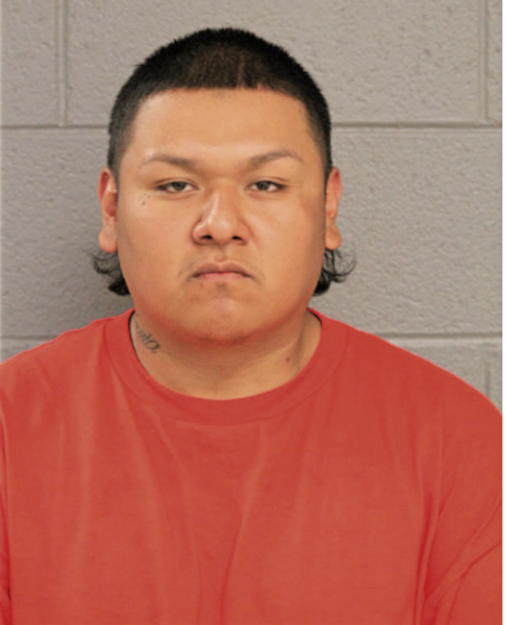 GERMAIN GRANDE DOMINGUEZ, Cook County, Illinois