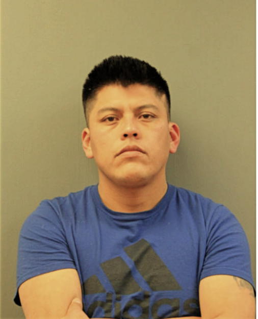 EDUARDO R FABIAN-ALVARADO, Cook County, Illinois