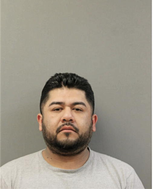 MARIO FLORES, Cook County, Illinois