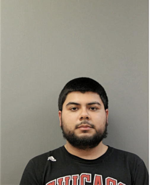 CRISTIAN J GARCIA, Cook County, Illinois