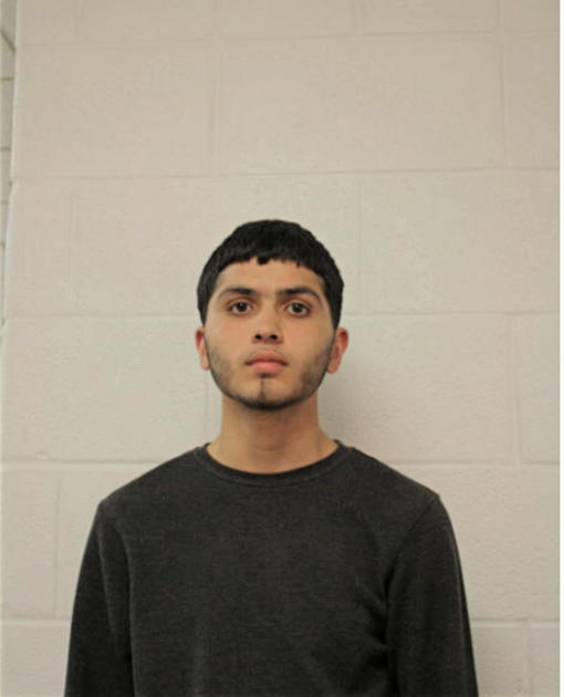 YAHIA M HALAIKA, Cook County, Illinois