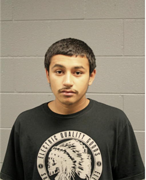 DILAN HERNANDEZ, Cook County, Illinois