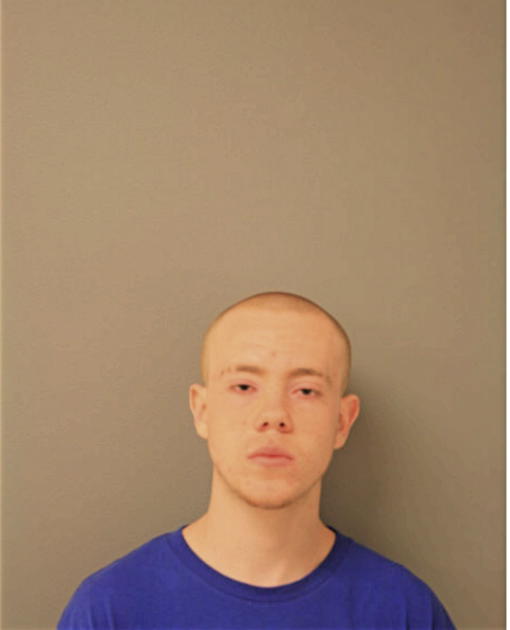 JUSTIN F JOHNSTON, Cook County, Illinois