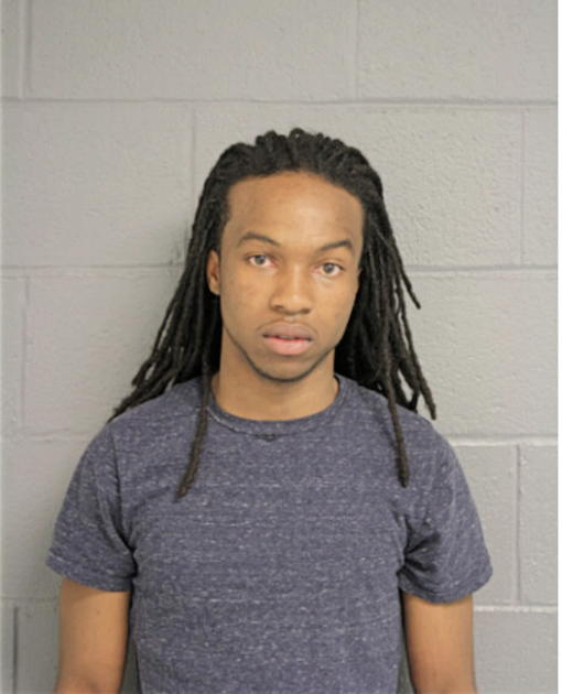 MICHAEL D LEWIS, Cook County, Illinois