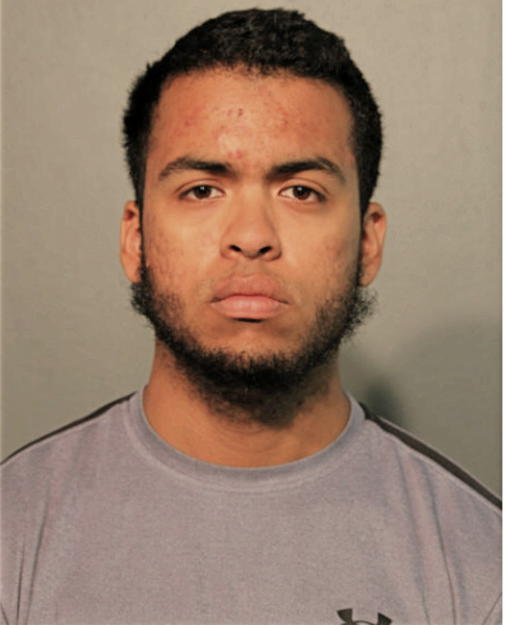 EMMANUEL L MAYS, Cook County, Illinois