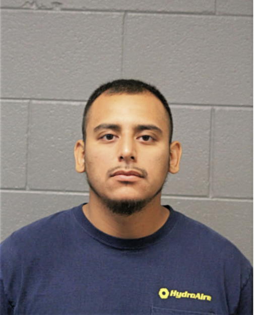 MICHAEL N NEGRETE, Cook County, Illinois