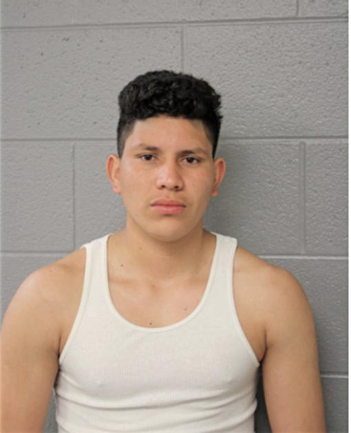 ANGEL OCHOA, Cook County, Illinois
